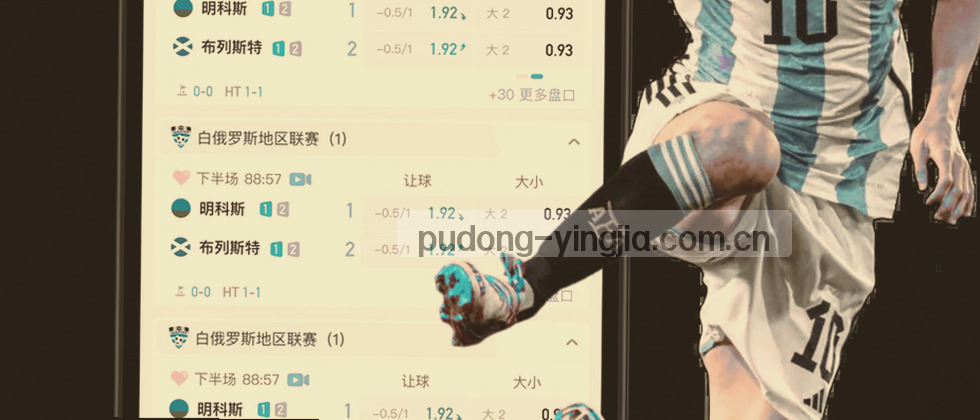 数据编织成无声盾甲